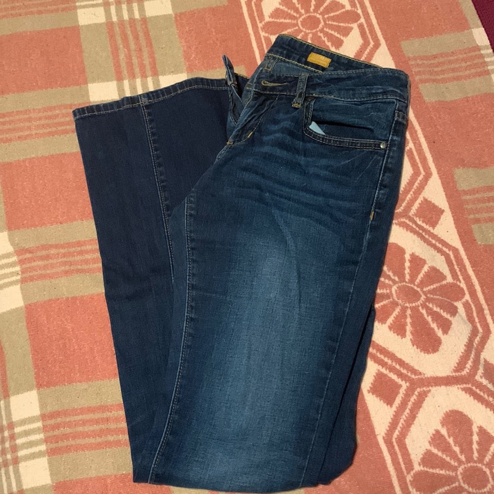 Pilcro and the letterpress low rise straight jeans